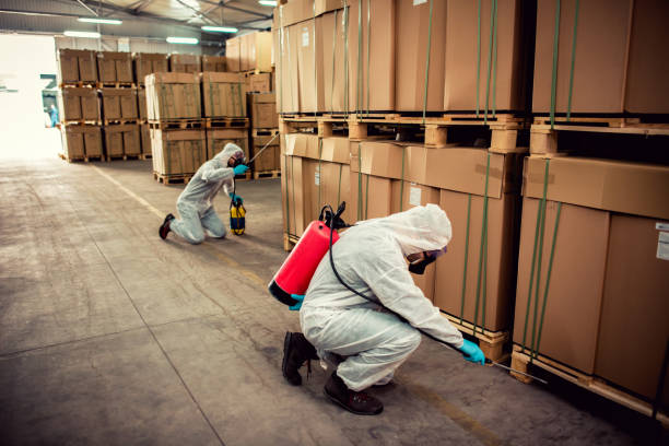 Best Bed Bug Extermination  in Stanford, CA