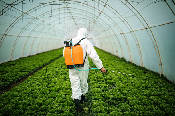 Best Best Pest Control Companies  in Stanford, CA