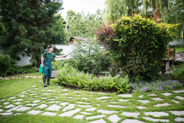  Stanford, CA Pest Control Pros
