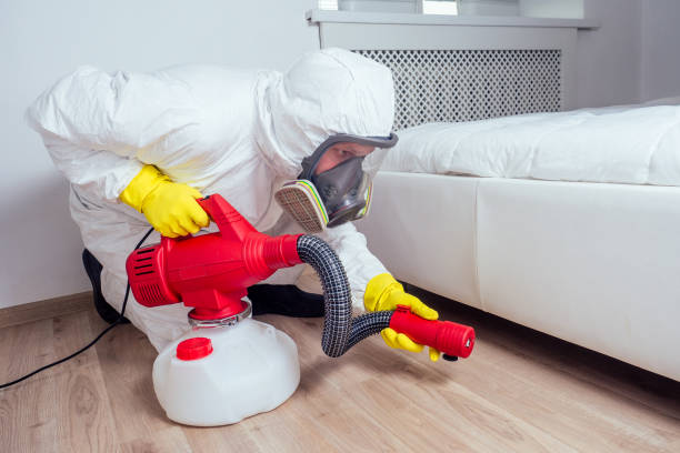 Best Mosquito Control Services  in Stanford, CA