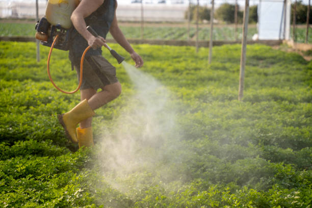 Best Emergency Pest Control  in Stanford, CA