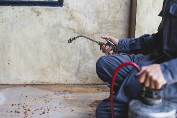 Best Affordable Pest Control Services  in Stanford, CA
